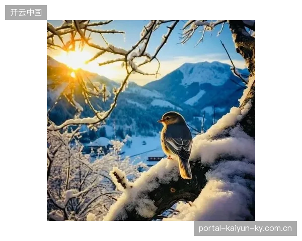 “比赛之前雪中送炭”：如何在逆境中逆势而上，让你的目标变得“温暖”